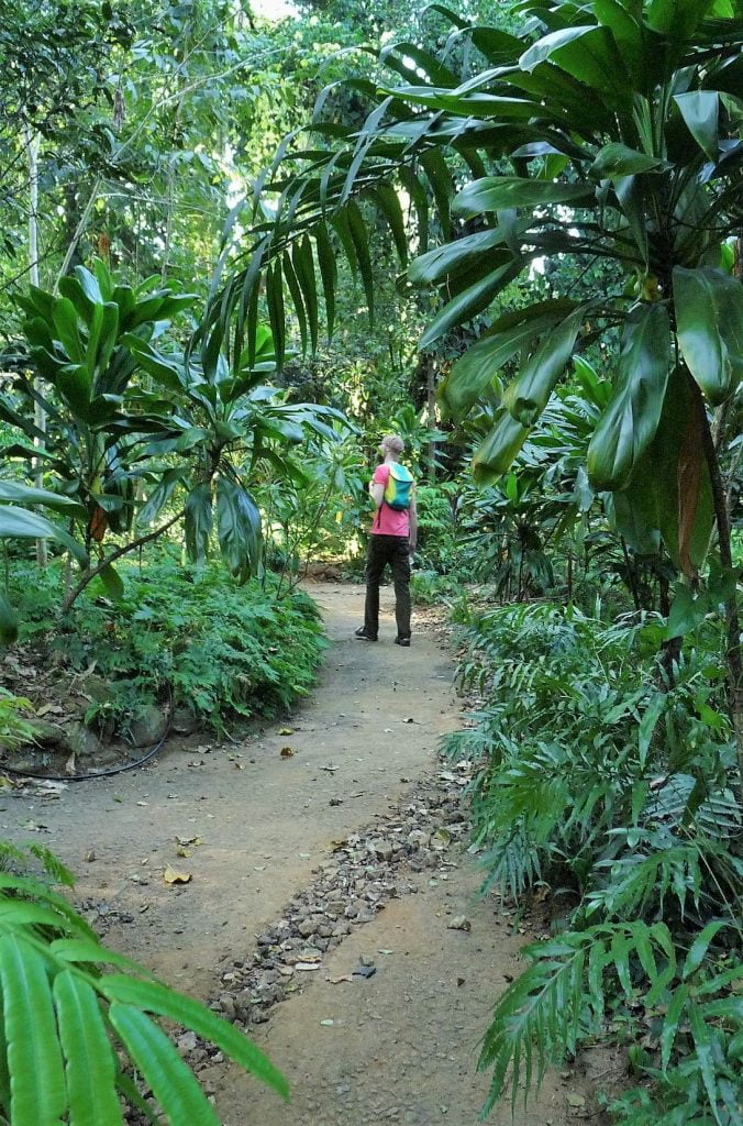 Sri Lanka: Royal Botanical Garden, Kandy