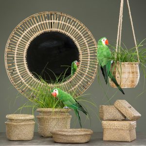 Bambu/rottinkipeili
