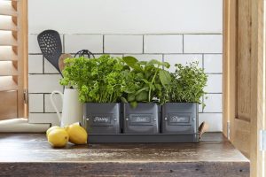 Herbes aromatiques