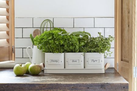 Herbes aromatiques