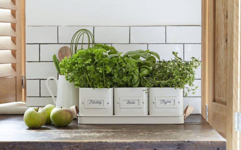 Herbes aromatiques