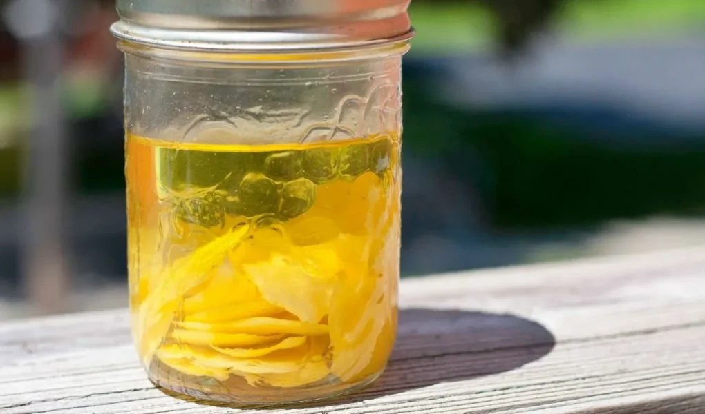 limonine lupine