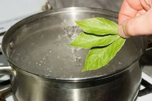 Preoblikujte svoje življenje: neverjetne lastnosti kuhanja lovorjevega lista, ki pridobiva na popularnosti!