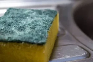 Malo kdo ve: zakaj se gobice zavijejo v aluminijasto folijo?