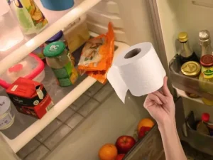 toaletnega papirja