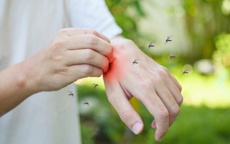 Poslovite se od komarjev na poletnih večerjah s tem domačim sredstvom, ki polepša tudi vašo teraso