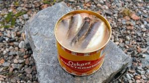 surströmming