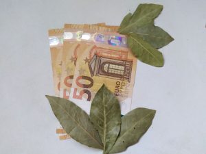 Kam po feng šuju postaviti lovorjeve liste, da bi pritegnili obilje?