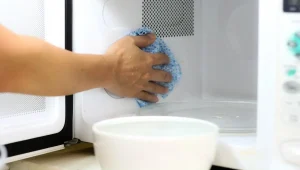 mikrovalovno pečico damo belo kis
