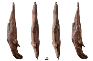 arheologi