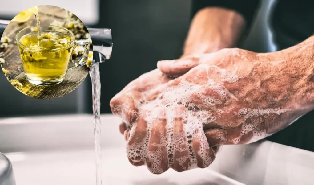 Umivanje rok z kamilico