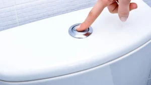 Poslovite se od vodnega kamna v WC-ju
