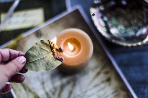 lovorjev list