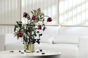  Odstranite te predmete iz svojega doma, saj blokirajo pretok energije po feng shui